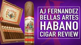 AJ Fernandez Bellas Artes Habano Cigar Review